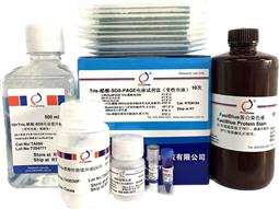 Tris-醋酸-SDS-PAGE電泳試劑盒（變性電泳，含預(yù)制膠）